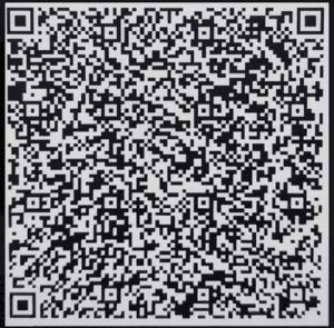 nothing phone bypass qr code